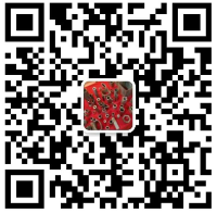 QQ截图20191120123232.png